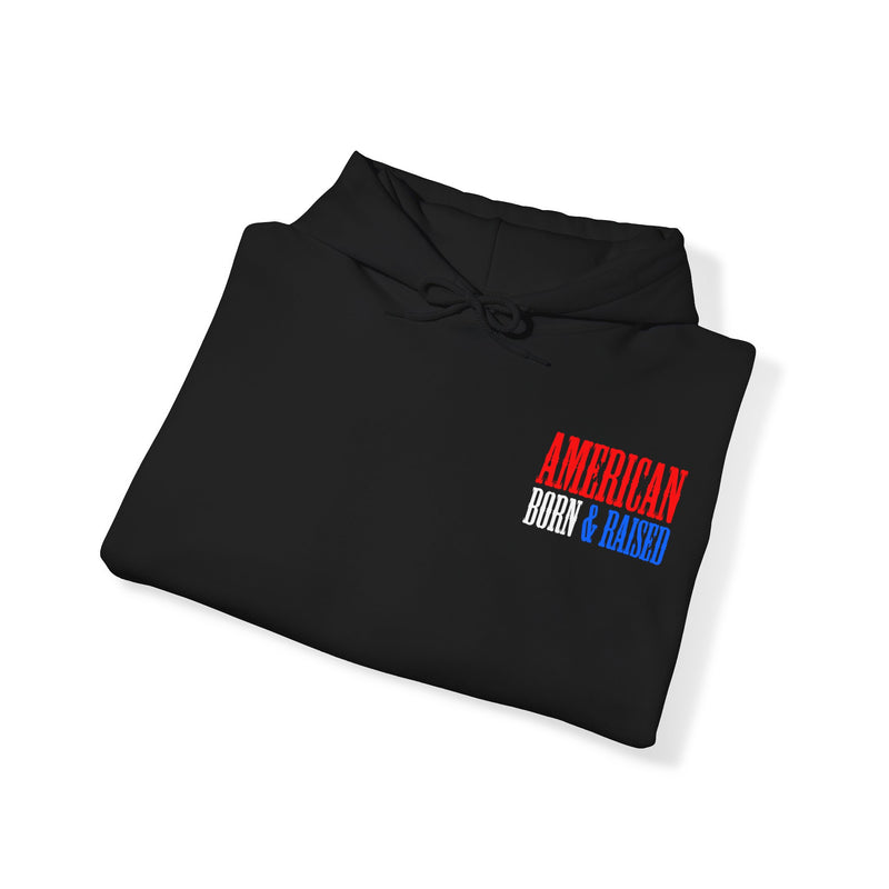 Load image into Gallery viewer, American Born &amp; Raised Unisex Hooded Sweatshirt
